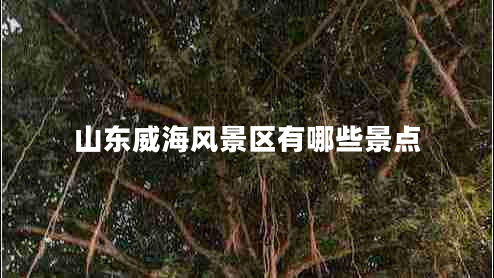 山東威海風(fēng)景區有哪些景點(diǎn)
