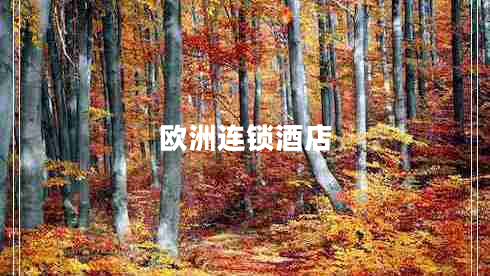 歐洲連鎖酒店