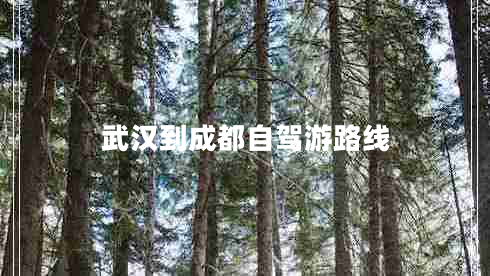 武漢到成都自駕游路線(xiàn)
