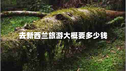 去新西蘭旅游大概要多少錢(qián)