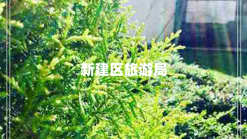 新建區旅游局