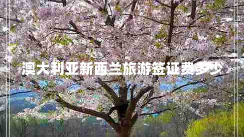 澳大利亞新西蘭旅游簽證費(fèi)多少