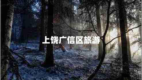 上饒廣信區旅游