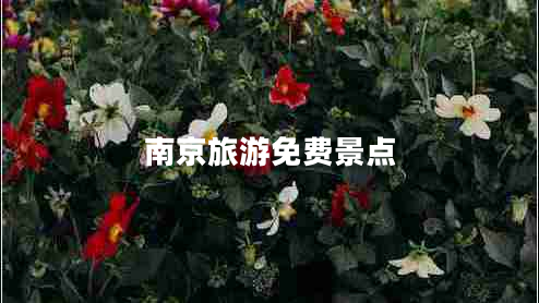 南京旅游免費景點(diǎn)