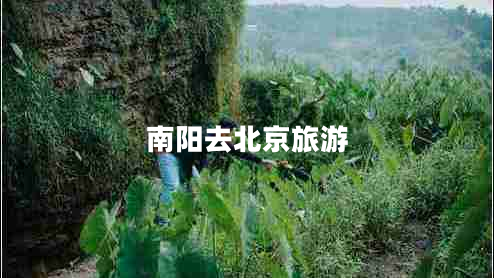 南陽去北京旅游