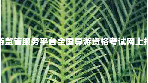 全國旅游監管服務(wù)平臺全國導游資格考試網(wǎng)上報名系統