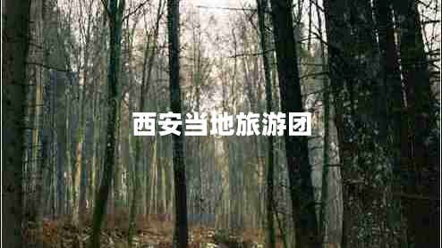 西安當地旅游團