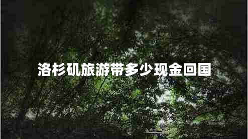 洛杉磯旅游帶多少現金回國