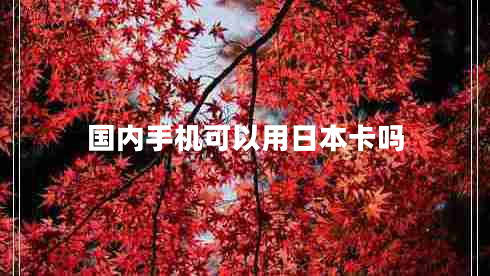 國內手機可以用日本卡嗎