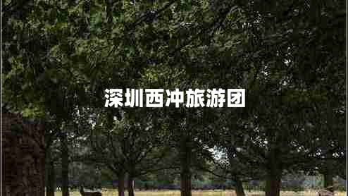 深圳西沖旅游團