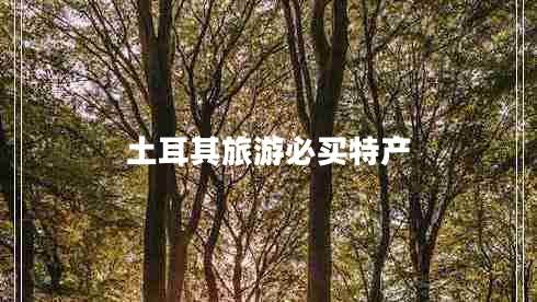 土耳其旅游必買(mǎi)特產(chǎn)