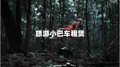 旅游小巴車(chē)租賃