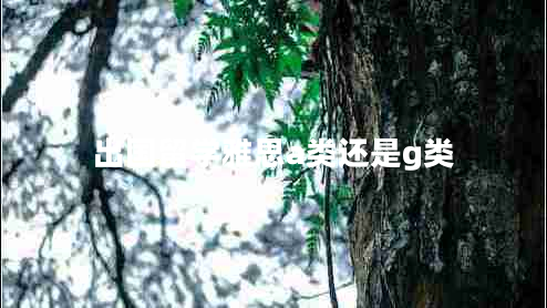 出國留學(xué)雅思a類(lèi)還是g類(lèi)