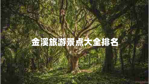 金溪旅游景點(diǎn)大全排名