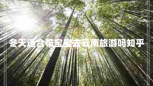 冬天適合帶寶寶去云南旅游嗎知乎