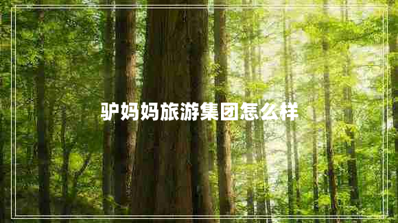 驢媽媽旅游集團怎么樣