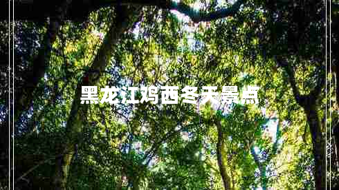 黑龍江雞西冬天景點(diǎn)