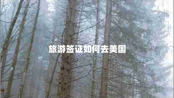 旅游簽證如何去美國