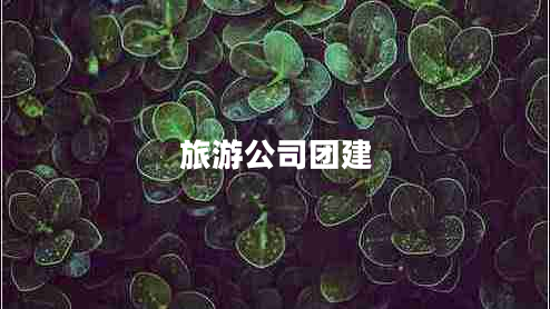 旅游公司團建