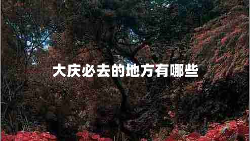 大慶必去的地方有哪些