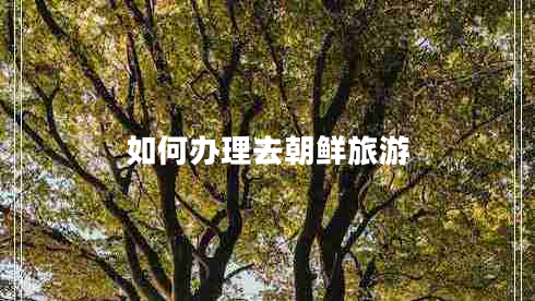 如何辦理去朝鮮旅游