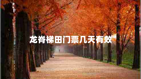 龍脊梯田門(mén)票幾天有效
