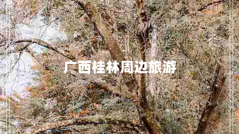 廣西桂林周邊旅游
