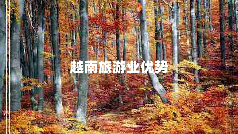 越南旅游業(yè)優(yōu)勢