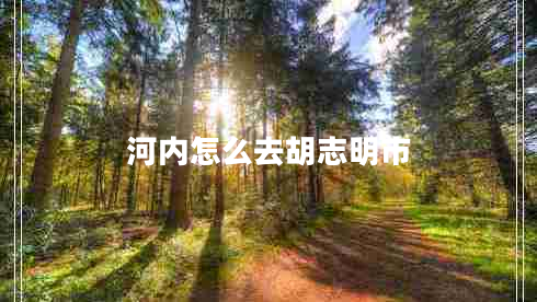 河內怎么去胡志明市