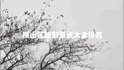 橫山區旅游景點(diǎn)大全排名
