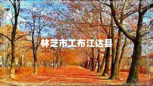 林芝市工布江達縣