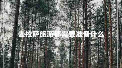 去拉薩旅游都需要準備什么