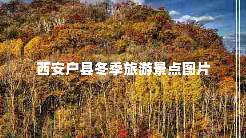 西安戶(hù)縣冬季旅游景點(diǎn)圖片