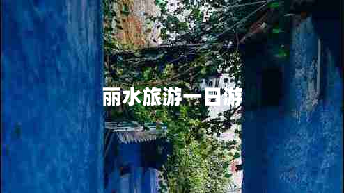 麗水旅游一日游