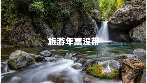 旅游年票沒(méi)帶