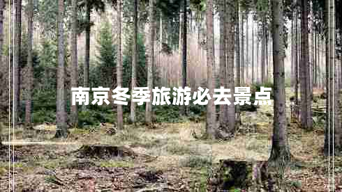 南京冬季旅游必去景點