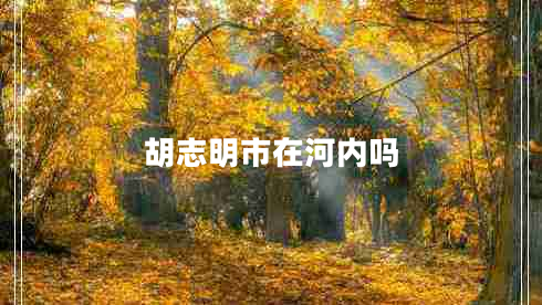 胡志明市在河內嗎
