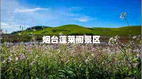 煙臺蓬萊閣景區