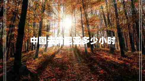 中國去肯尼亞多少小時(shí)