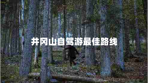 井岡山自駕游最佳路線(xiàn)