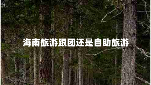 海南旅游跟團還是自助旅游