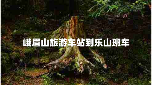 峨眉山旅游車(chē)站到樂(lè )山班車(chē)