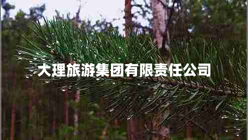 大理旅游集團有限責任公司