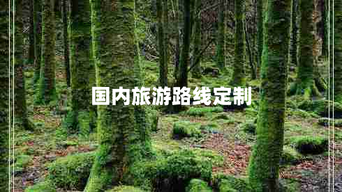 國內旅游路線(xiàn)定制
