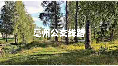 亳州公交線(xiàn)路