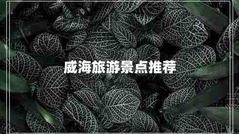 威海旅游景點(diǎn)推薦