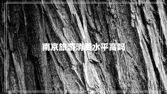 南京旅游消費水平高嗎