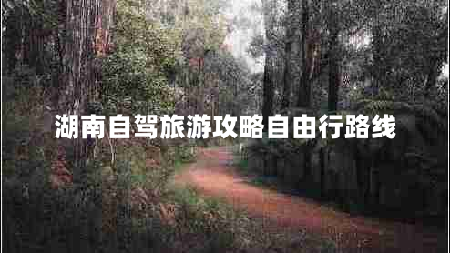 湖南自駕旅游攻略自由行路線(xiàn)