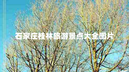 石家莊桂林旅游景點大全圖片