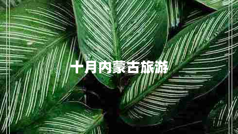 十月內蒙古旅游